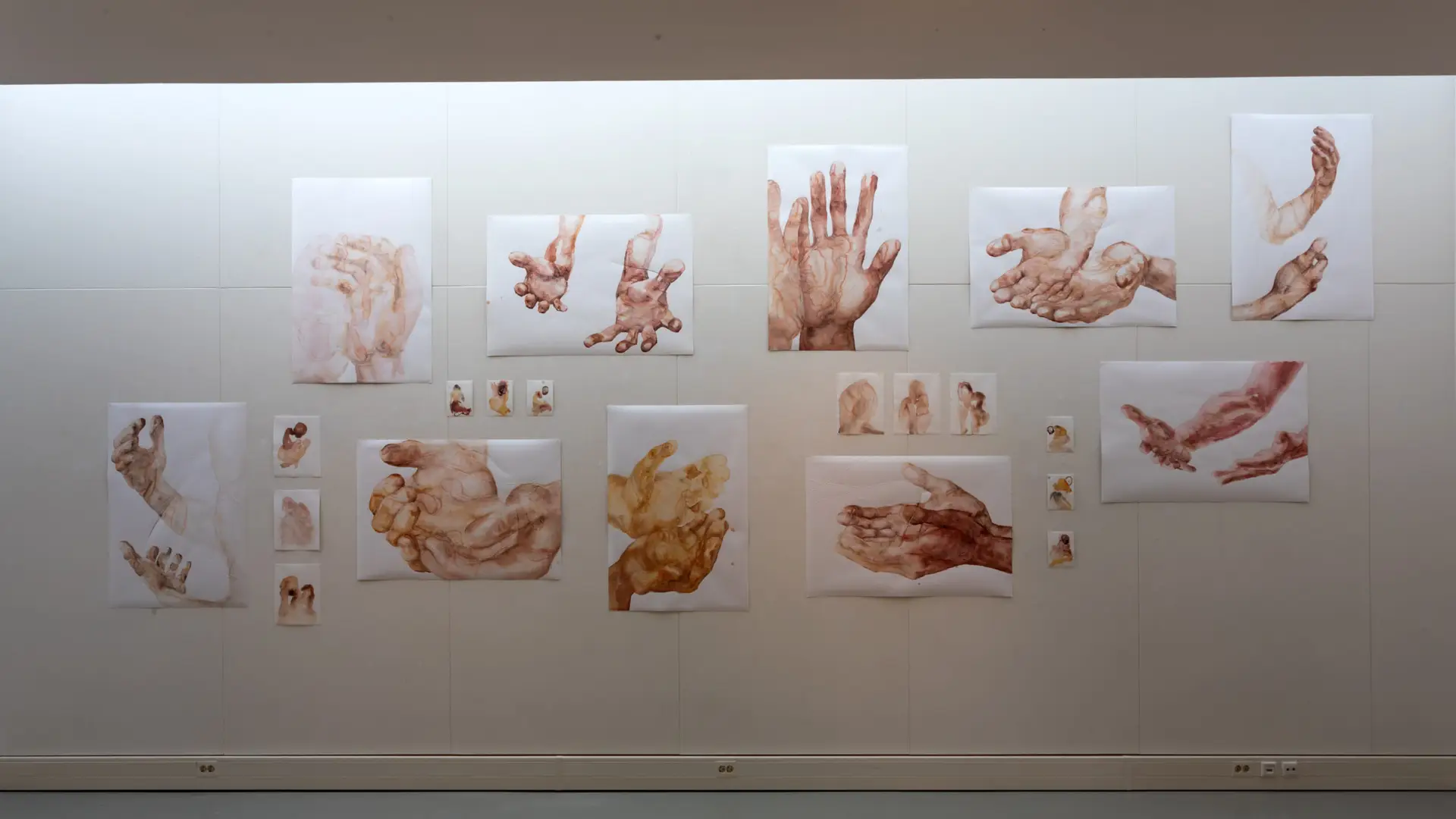 Inner Body#3
(formally titled as on being in*visible)
22 drawings of different sizes,
786-400cm, 2023.
Installationview KEG, Schijndel 
Photo: Michael Hartwigsen
